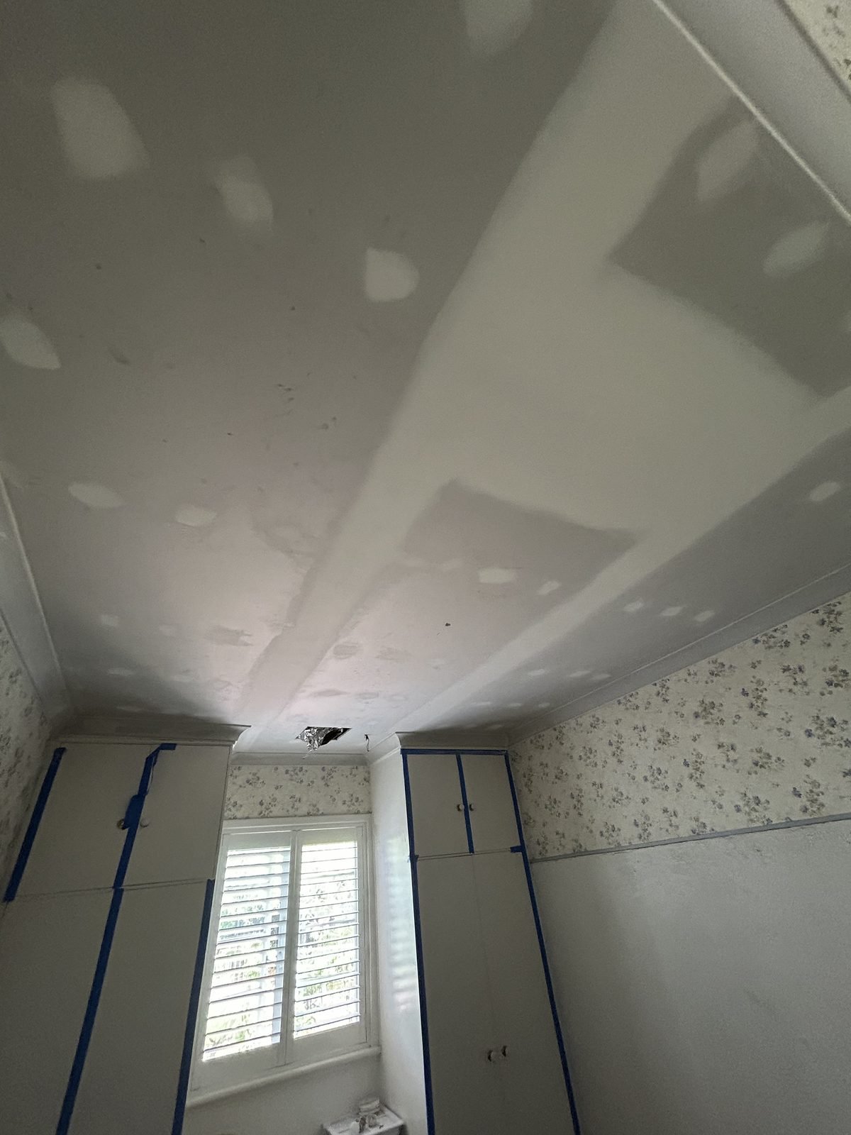 Failed ceiling after — Shelley