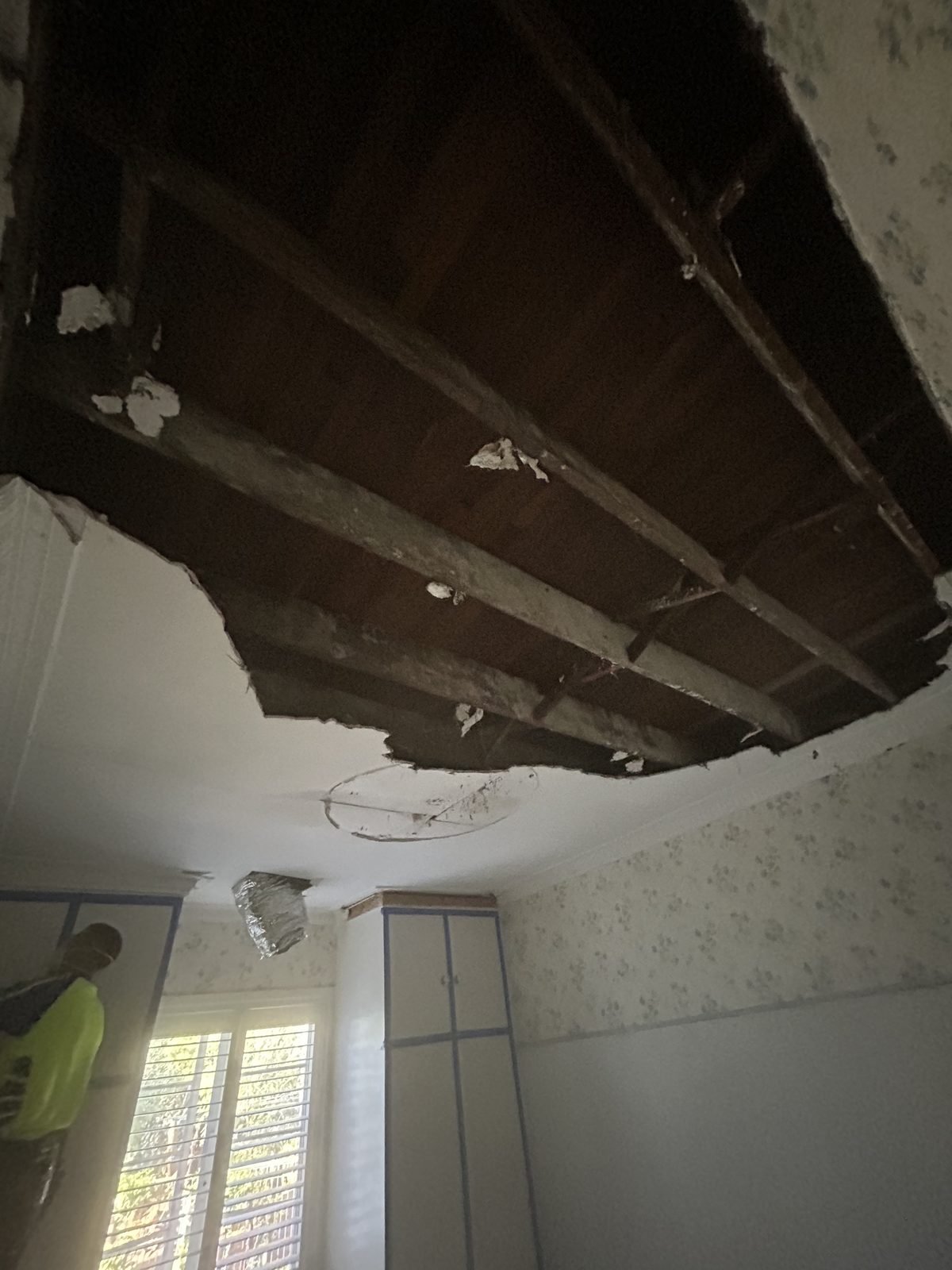 Failed ceiling before — Shelley