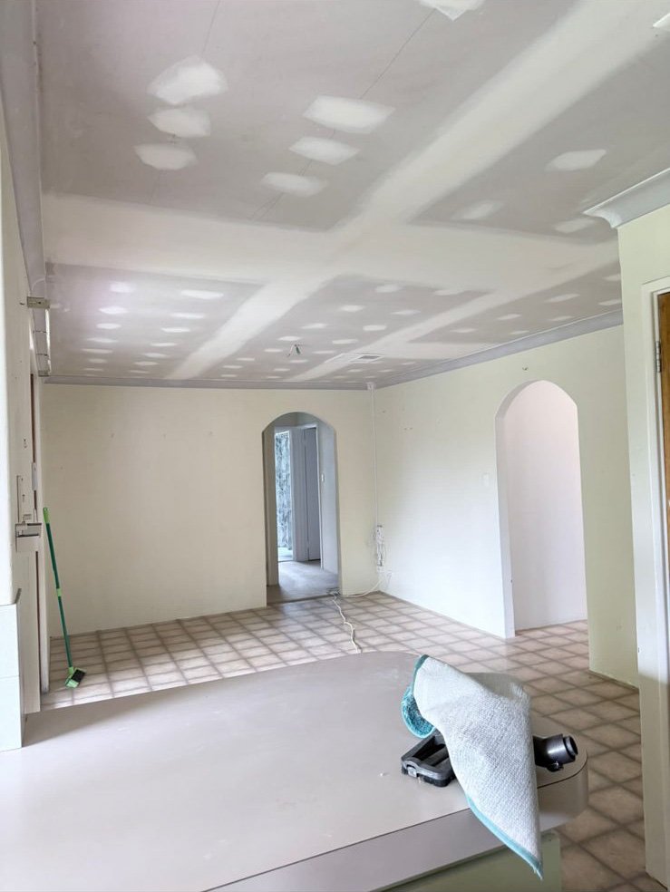 Living area ceiling repairs — Perth
